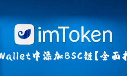 如何在TPWallet中添加BSC链？全面指南与技巧