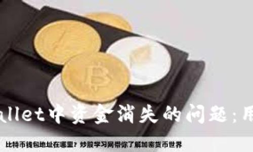 如何解决TPWallet中资金消失的问题:用户的全面指南