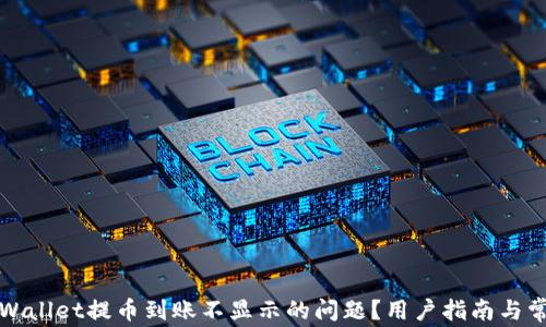 如何解决TPWallet提币到账不显示的问题?用户指南与常见解决方案