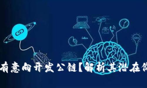TPWallet是否有意向开发公链？解析其潜在价值与市场前景