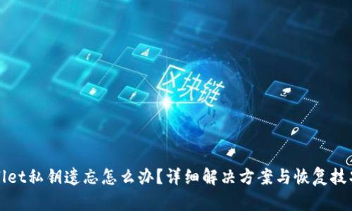 TPWallet私钥遗忘怎么办？详细解决方案与恢复技巧揭秘
