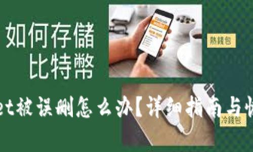 TPWallet被误删怎么办?详细指南与恢复技巧
