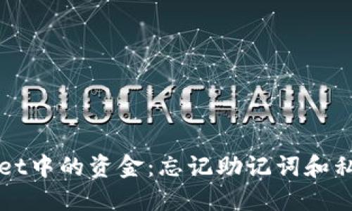 如何找回TPWallet中的资金：忘记助记词和私钥时的应对策略